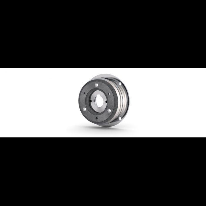 Tooth coupling COMBINORM T